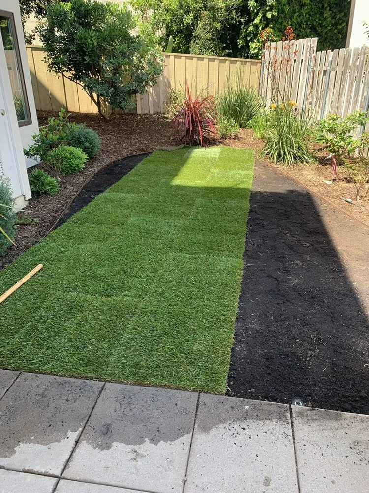 Top-rated lawn care service for year-round maintenance across La Costa, CA - Daniel's Landscaping