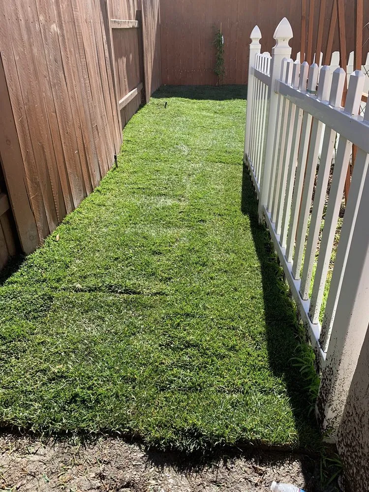 Custom landscape design experts serving La Costa, CA - Daniel's Landscaping
