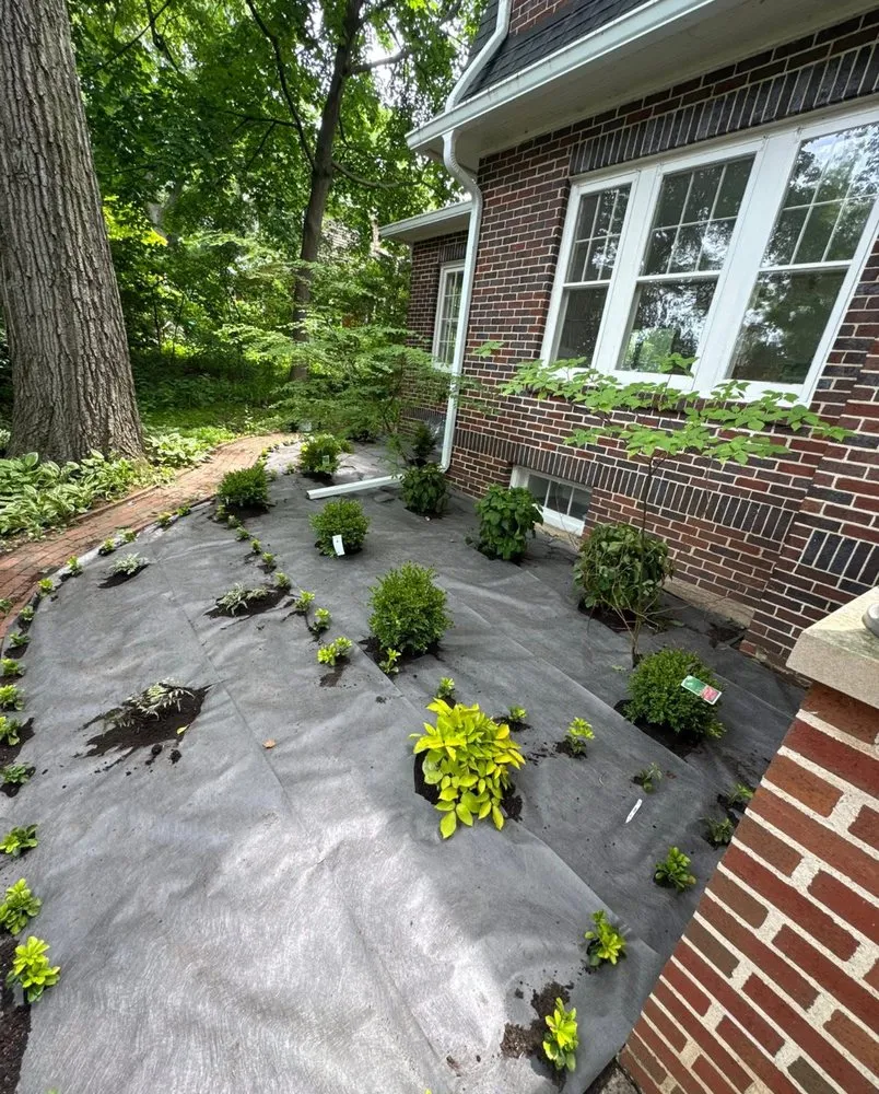 Affordable yard maintenance in Madison, WI by Daniel's Landscaping