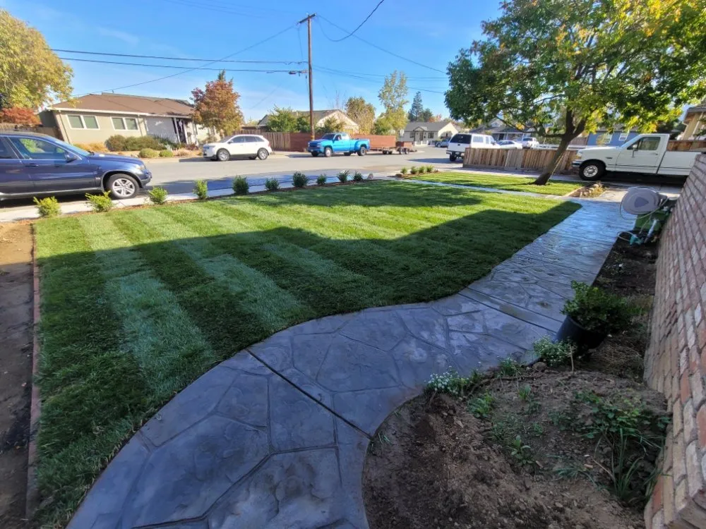Custom lawn care service near you in San Jose, CA by Daniel's Landscaping Maintenance