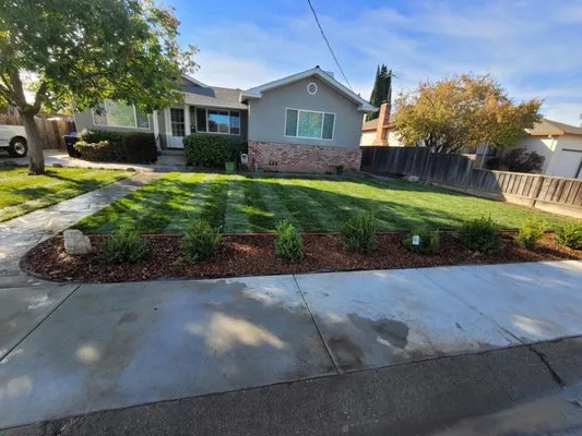 Daniel's Landscaping Maintenance Logo