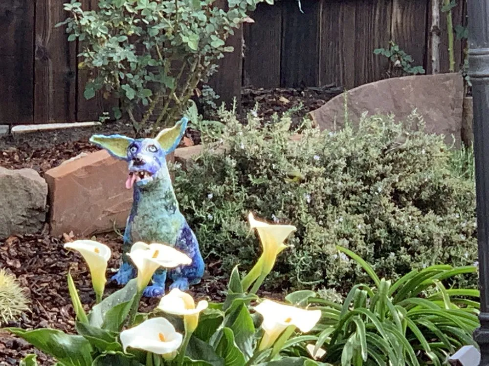 Trusted yard maintenance experts serving Oakland, CA - Daniel’s Landscaping