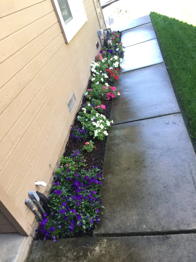Expert landscape installation in Oakland, CA - Daniel’s Landscaping
