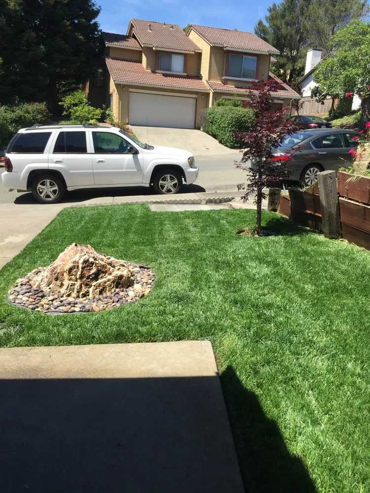 Reliable landscape design with custom design across Oakland, CA - Daniel’s Landscaping