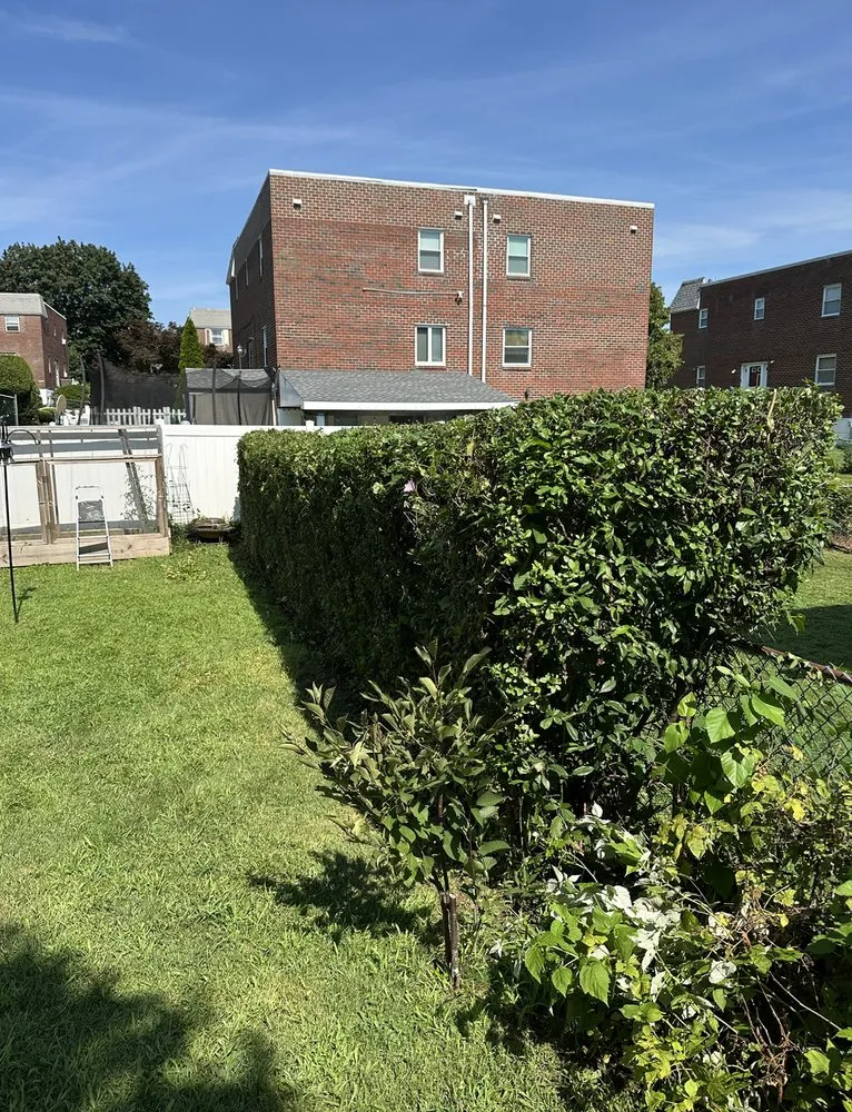 Expert garden landscaping for year-round maintenance across Philadelphia, PA - Daniel's Landscaping