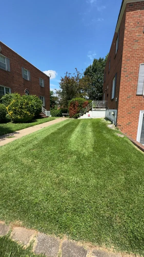 Local landscape design experts serving Philadelphia, PA - Daniel's Landscaping