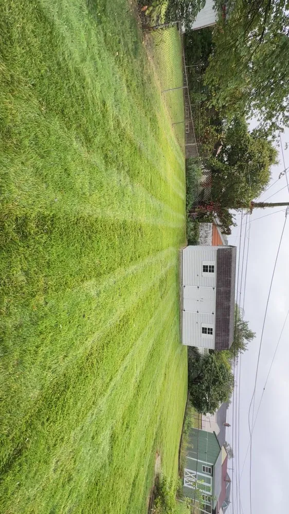 Local outdoor landscaping in Philadelphia, PA by Daniel's Landscaping