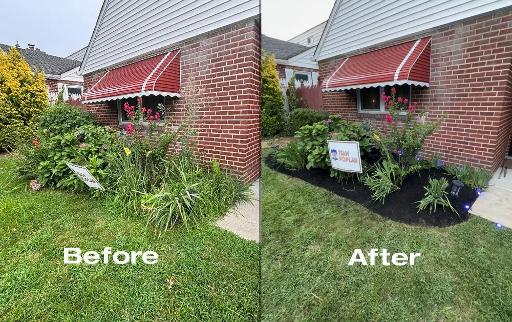 Custom landscape installation in Philadelphia, PA - Daniel's Landscaping