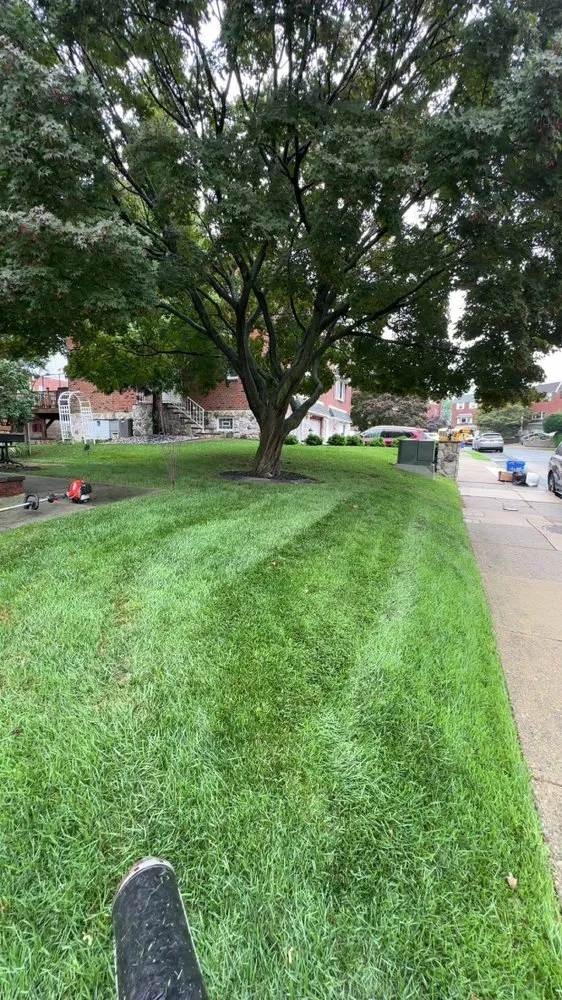 Affordable yard cleanup service near you across Philadelphia, PA - Daniel's Landscaping