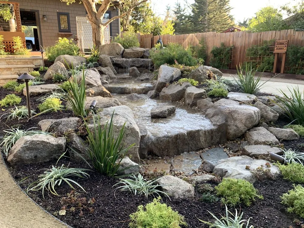 Trusted yard cleanup service in Monterey, CA - Daniel's Landscaping Service