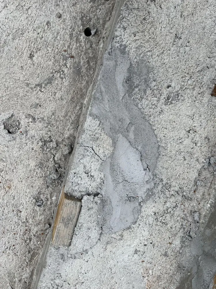 Local landscape design for beautiful yards in Monterey, CA by Daniel's Landscaping Service