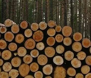 Reliable lawn mowing service in West Lawn, PA - Daniels Landscaping