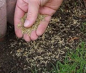 Reliable yard cleanup service experts serving West Lawn, PA - Daniels Landscaping