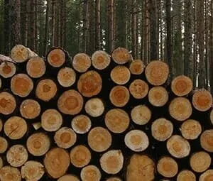 Expert yard maintenance for residential properties in West Lawn, PA by Daniels Landscaping