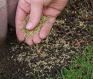 Top-rated outdoor landscaping for residential properties across West Lawn, PA - Daniels Landscaping