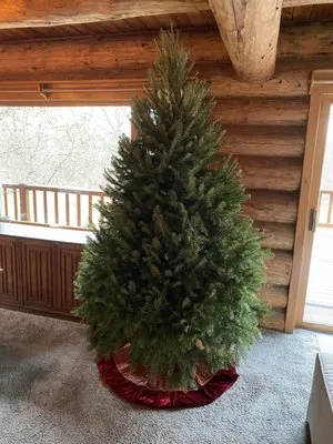 Daniels Lawn and Garden