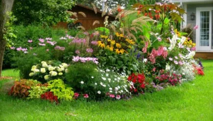 Expert landscape design experts serving Norfolk, VA - Daniel's Lawn and Garden