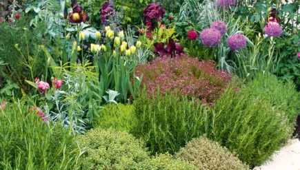 Top-rated yard maintenance in Norfolk, VA by Daniel's Lawn and Garden