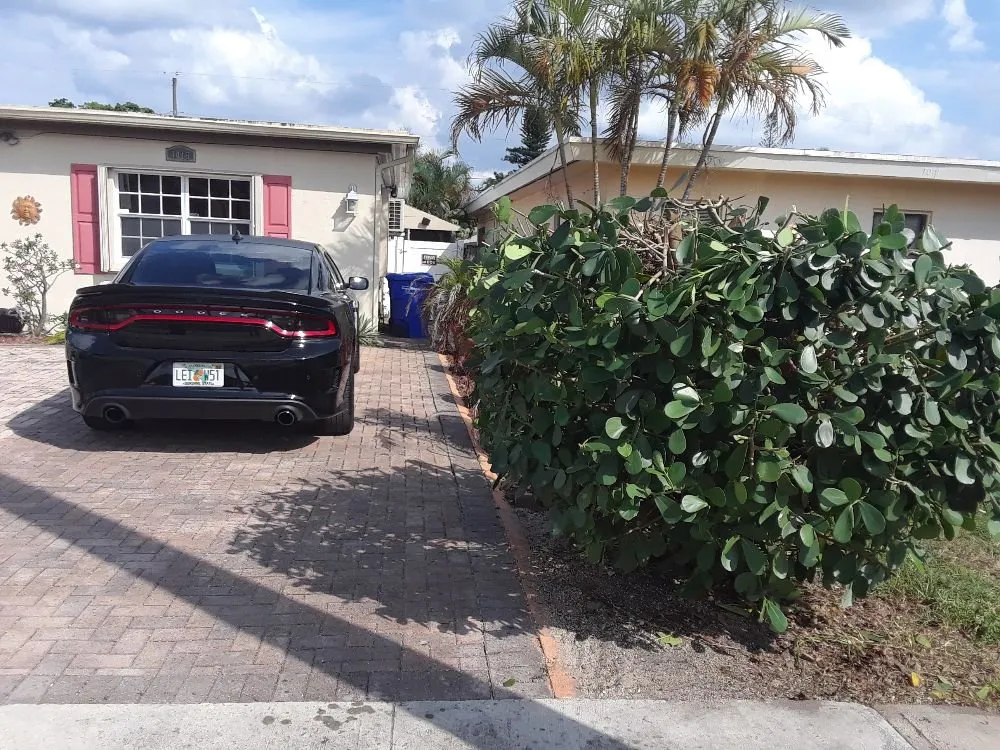 Expert yard maintenance for residential properties in Hollywood, FL by Daniels Lawn and Landscape Services