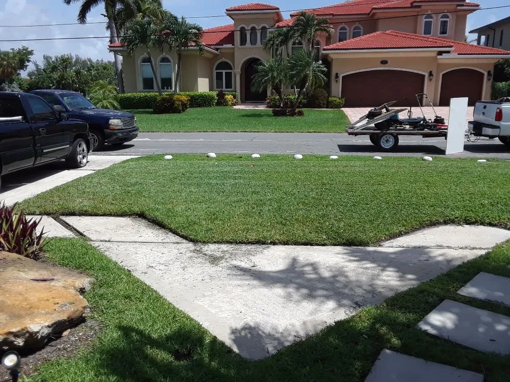 Professional yard cleanup service in Hollywood, FL by Daniels Lawn and Landscape Services