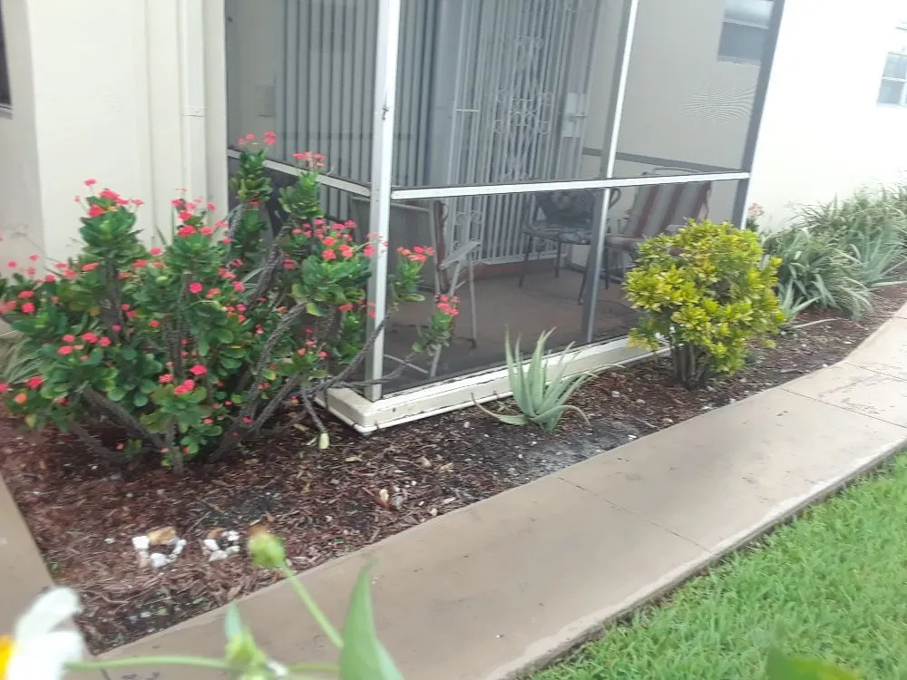 Reliable yard maintenance in Hollywood, FL by Daniels Lawn and Landscape Services