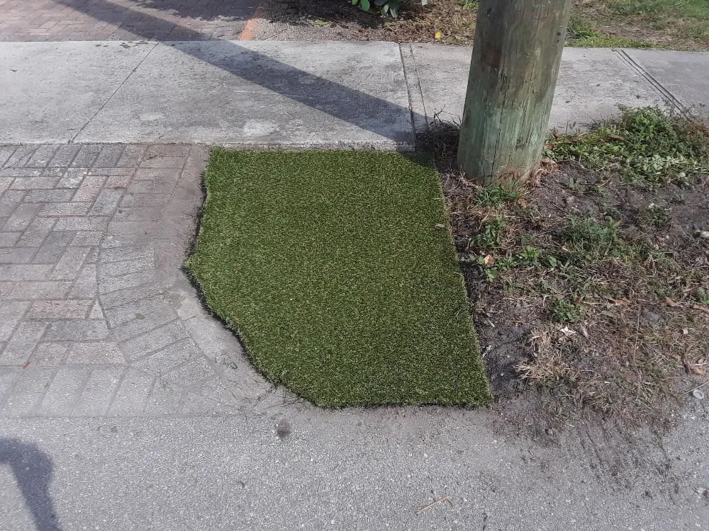 Reliable landscape design near you in Hollywood, FL by Daniels Lawn and Landscape Services