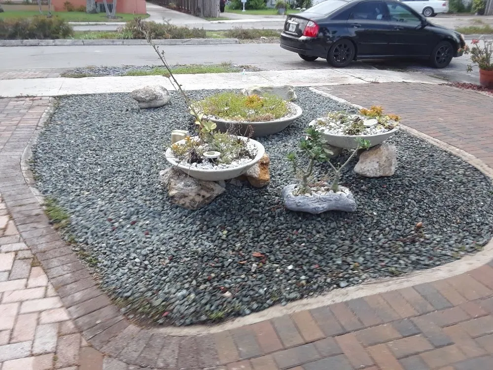 Reliable lawn mowing service in Hollywood, FL - Daniels Lawn and Landscape Services