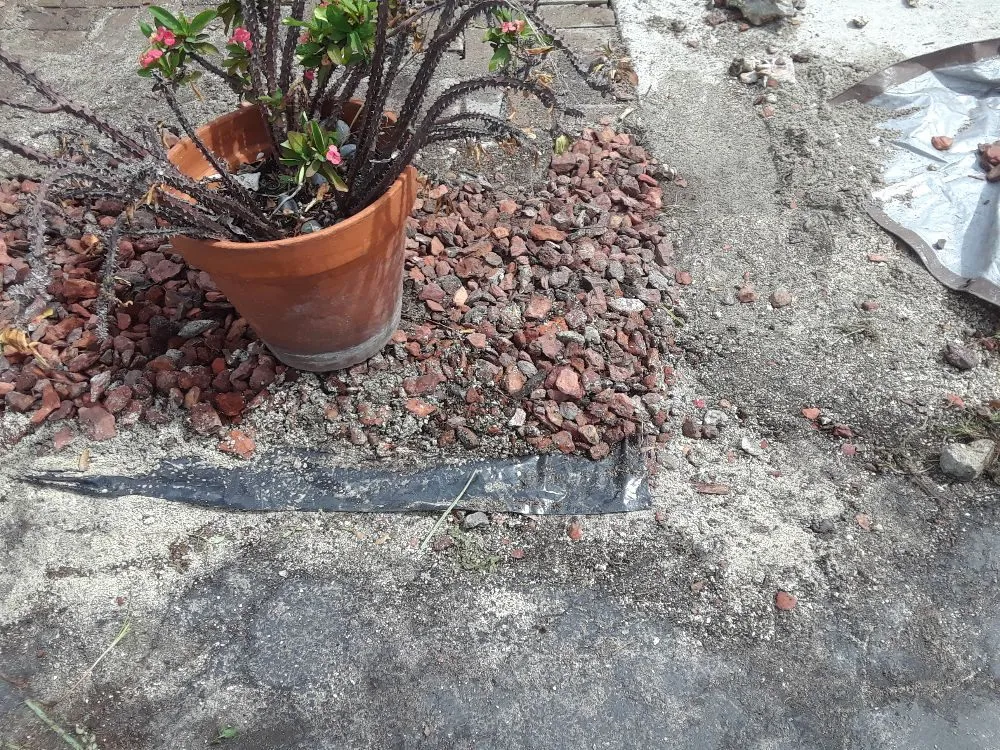 Affordable yard maintenance in Hollywood, FL - Daniels Lawn and Landscape Services