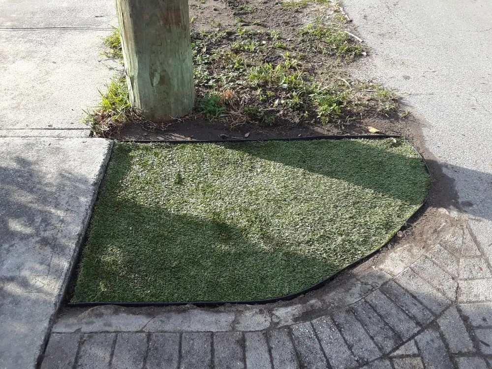 Top-rated lawn care service for homes across Hollywood, FL - Daniels Lawn and Landscape Services