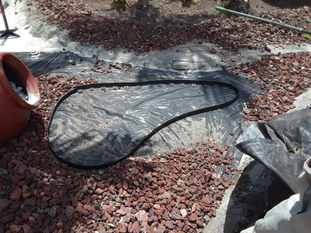 Top-rated garden landscaping in Hollywood, FL - Daniels Lawn and Landscape Services