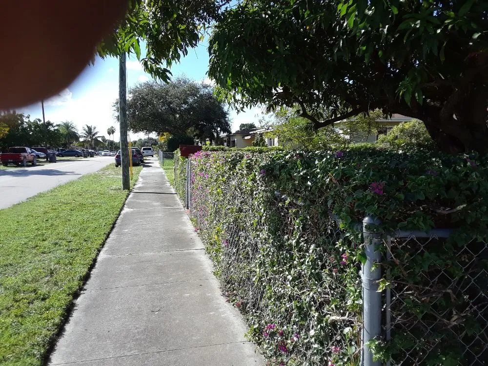 Custom landscape installation in Hollywood, FL - Daniels Lawn and Landscape Services