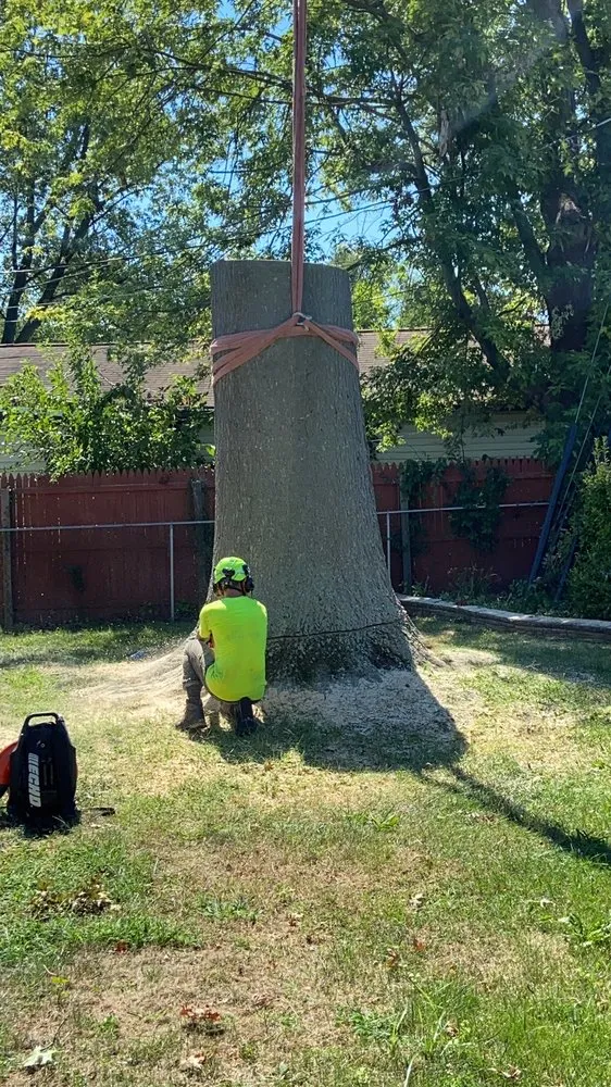 Reliable yard cleanup service experts serving Wilmington, DE - Daniel's Lawn And Tree