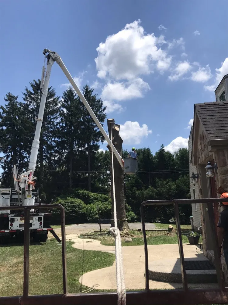 Professional yard maintenance in Wilmington, DE - Daniel's Lawn And Tree