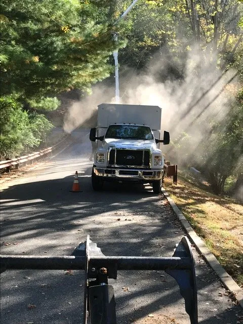 Expert yard cleanup service for year-round maintenance across Wilmington, DE - Daniel's Lawn And Tree