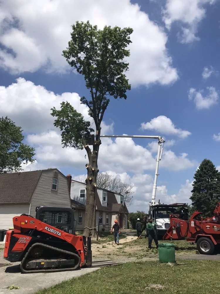 Custom outdoor landscaping in Wilmington, DE by Daniel's Lawn And Tree