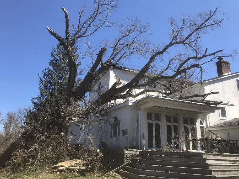 Local lawn care service experts serving Wilmington, DE - Daniel's Lawn And Tree