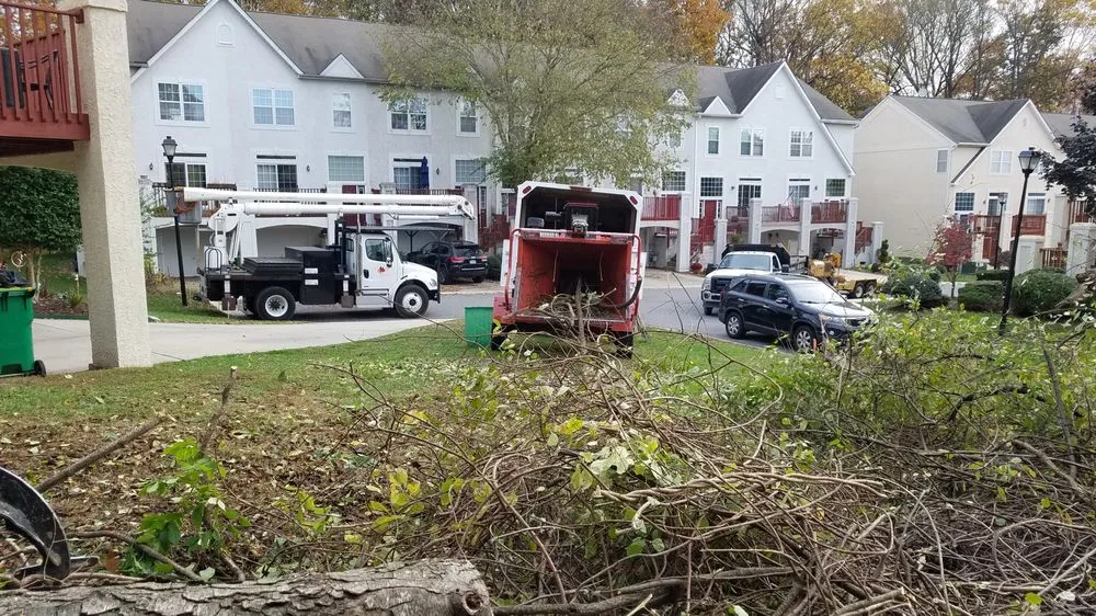 Affordable landscape design experts serving Wilmington, DE - Daniel's Lawn And Tree