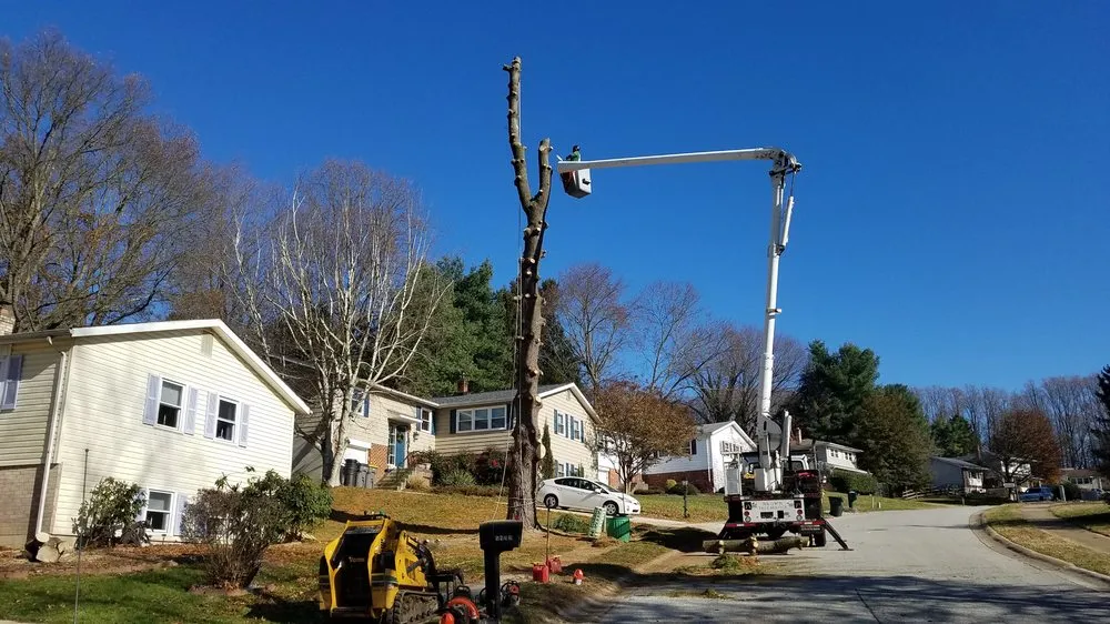 Trusted lawn care service with custom design in Wilmington, DE by Daniel's Lawn And Tree