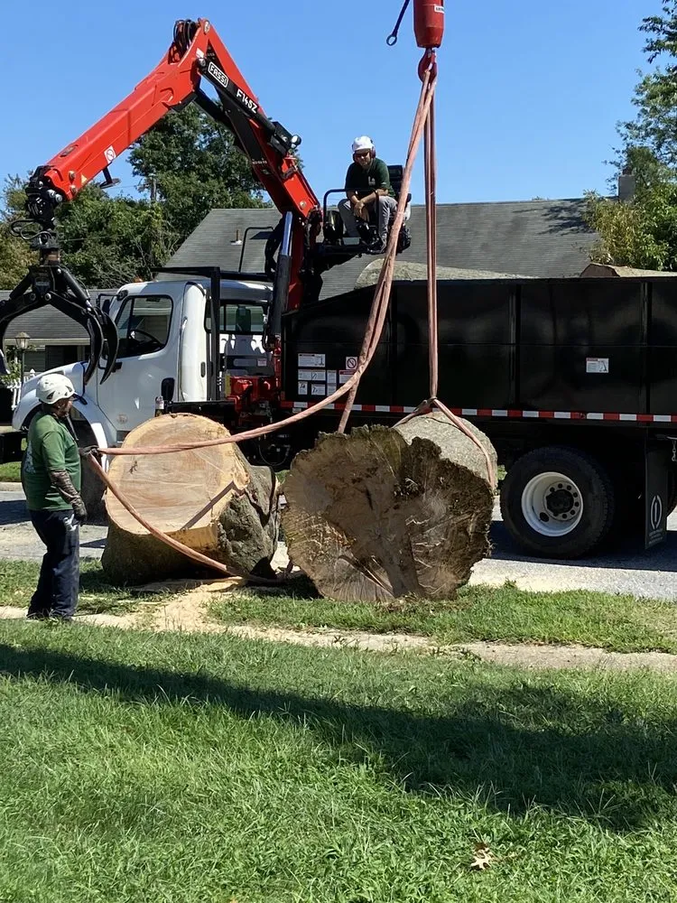 Local yard maintenance in Wilmington, DE by Daniel's Lawn And Tree