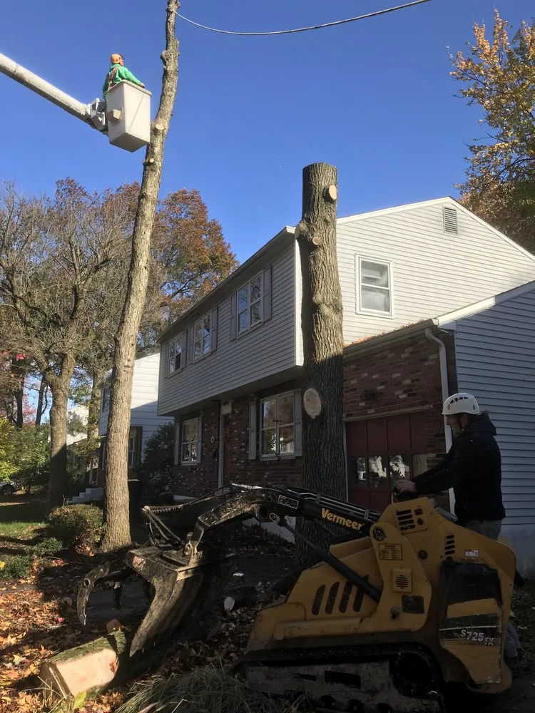 Trusted landscape installation in Wilmington, DE by Daniel's Lawn And Tree