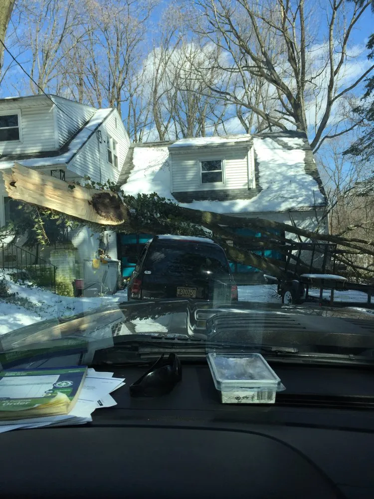 Custom lawn care service for beautiful yards across Wilmington, DE - Daniel's Lawn And Tree