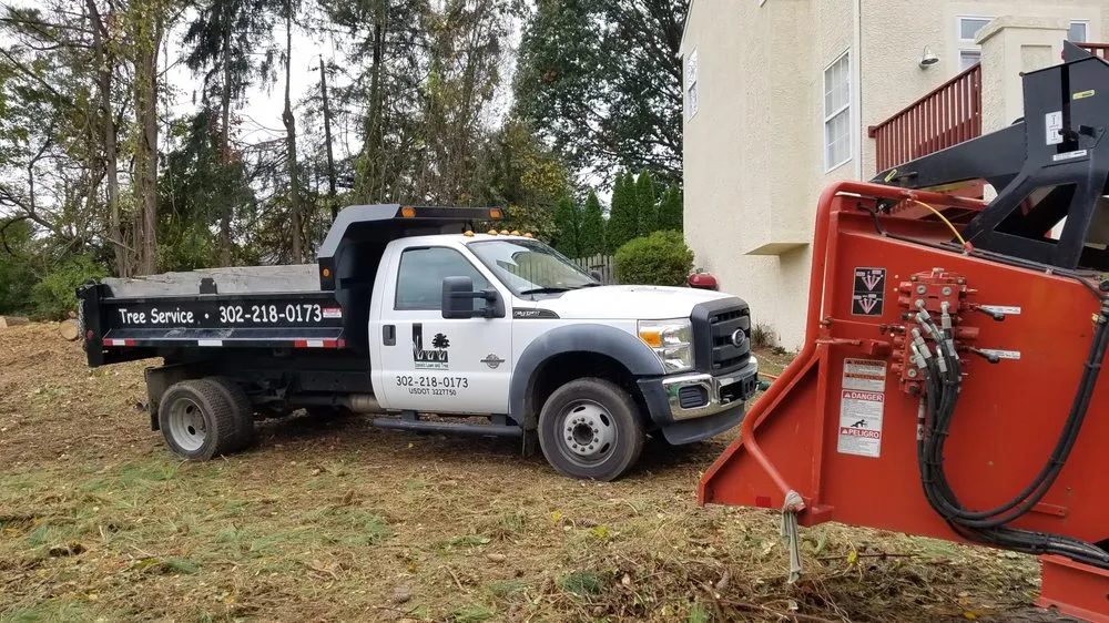 Top-rated yard cleanup service in Wilmington, DE by Daniel's Lawn And Tree