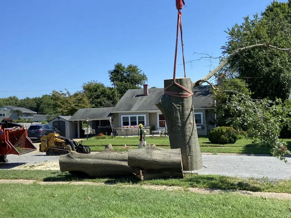 Expert landscape design in Wilmington, DE by Daniel's Lawn And Tree