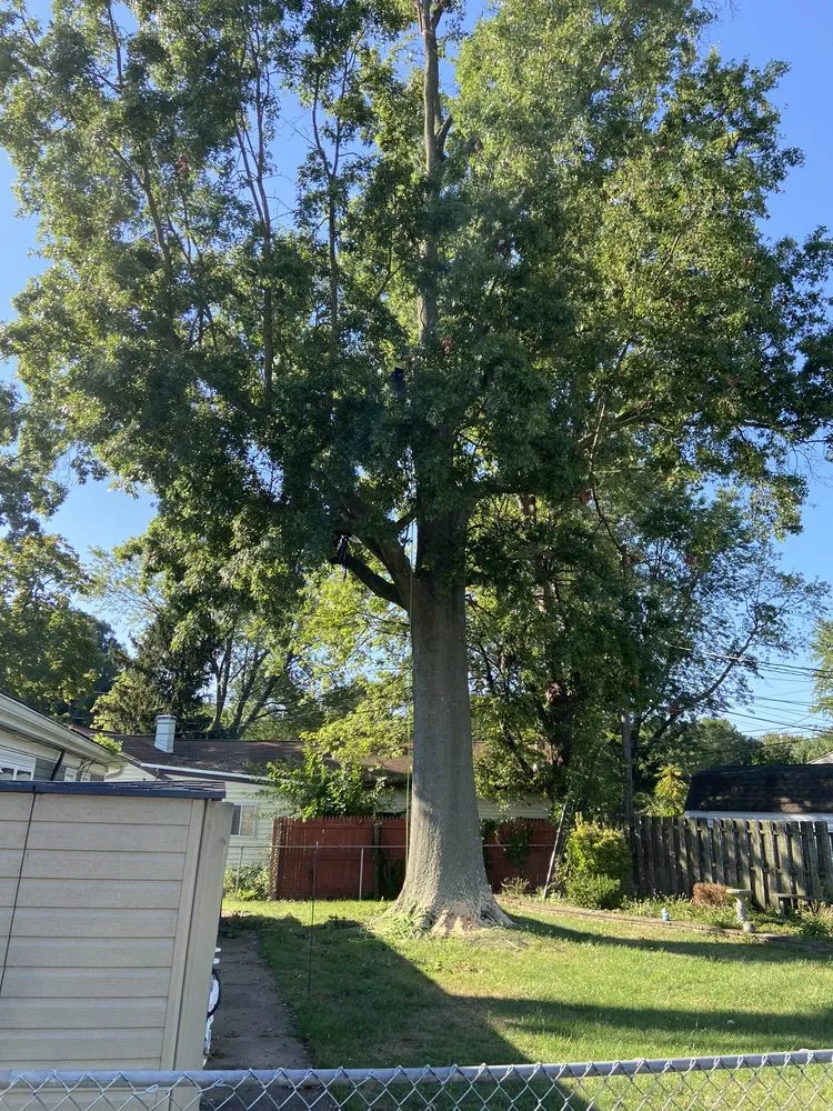 Local residential landscaping for homes across Wilmington, DE - Daniel's Lawn And Tree