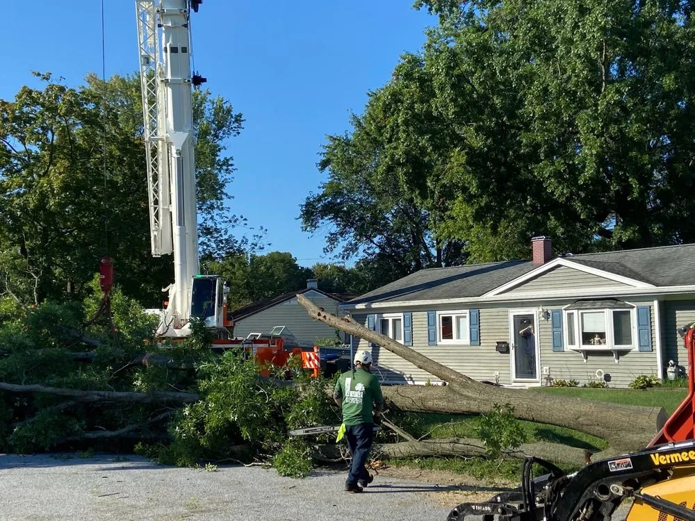 Local landscape installation for year-round maintenance across Wilmington, DE - Daniel's Lawn And Tree