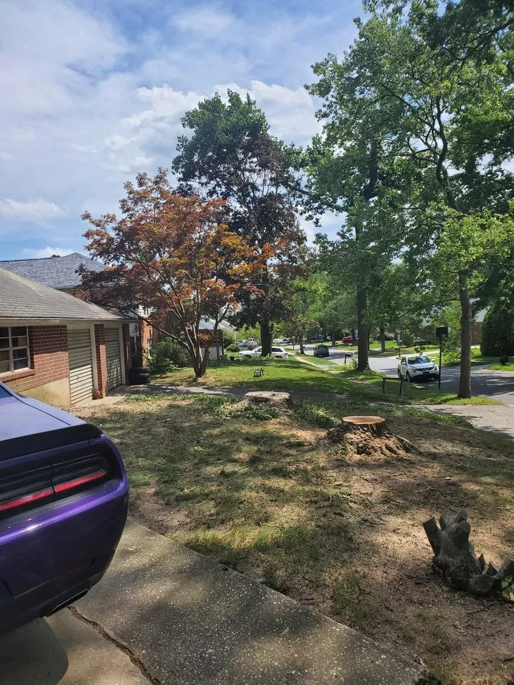 Custom lawn care service for homes across Wilmington, DE - Daniel's Lawn And Tree