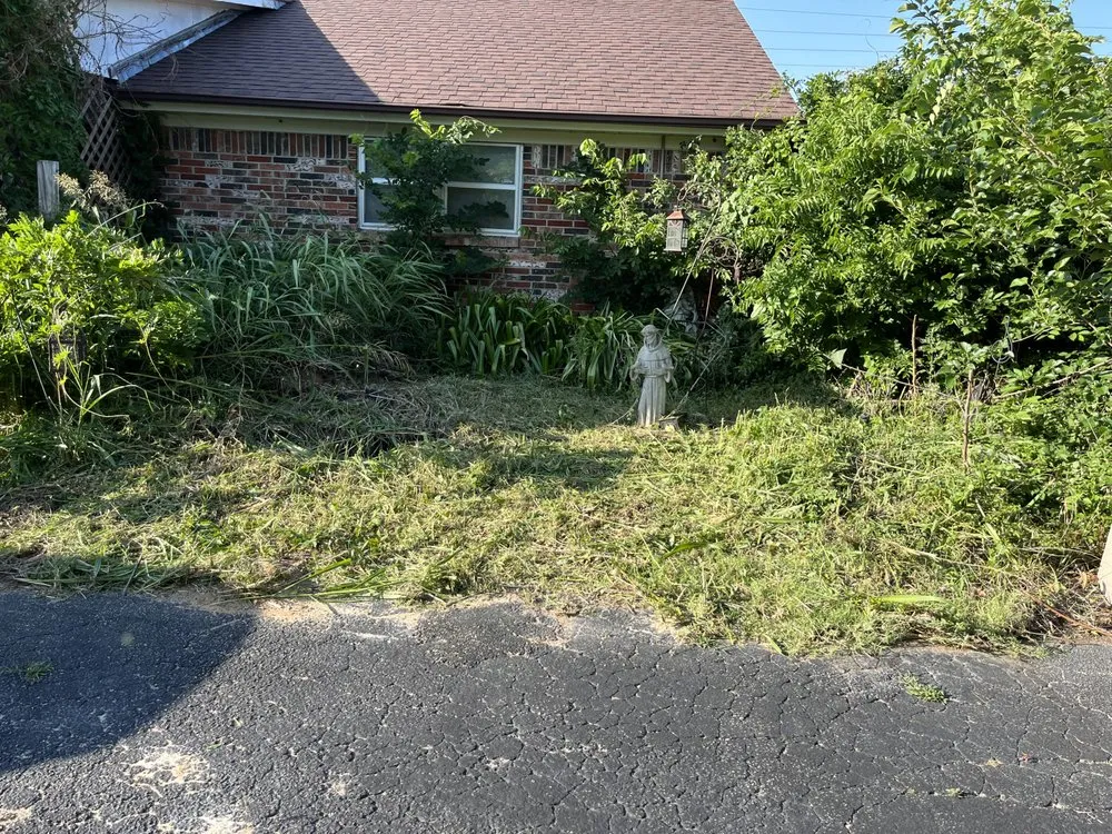 Expert lawn care service experts serving Mesquite, TX - Daniel’s lawn care and landscaping