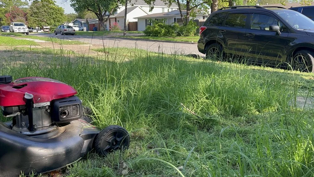 Professional outdoor landscaping in Mesquite, TX by Daniel’s lawn care and landscaping