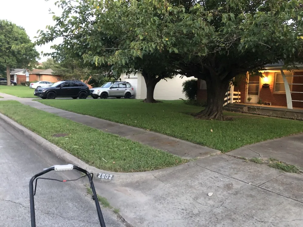 Professional lawn care service with custom design in Mesquite, TX by Daniel’s lawn care and landscaping