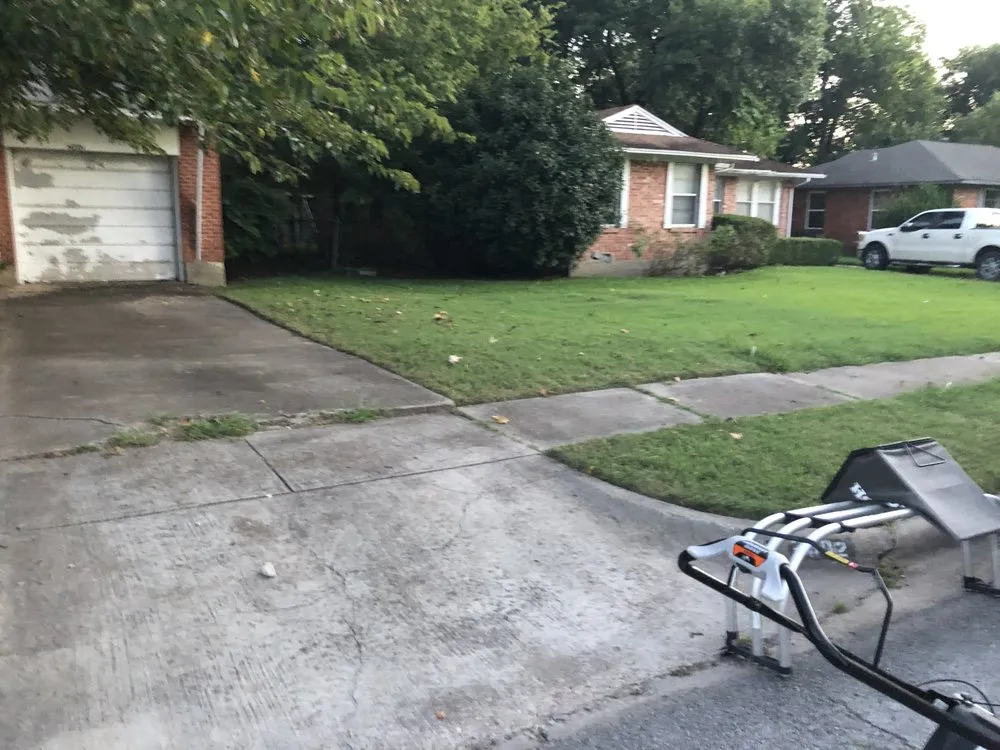 Professional yard cleanup service in Mesquite, TX by Daniel’s lawn care and landscaping